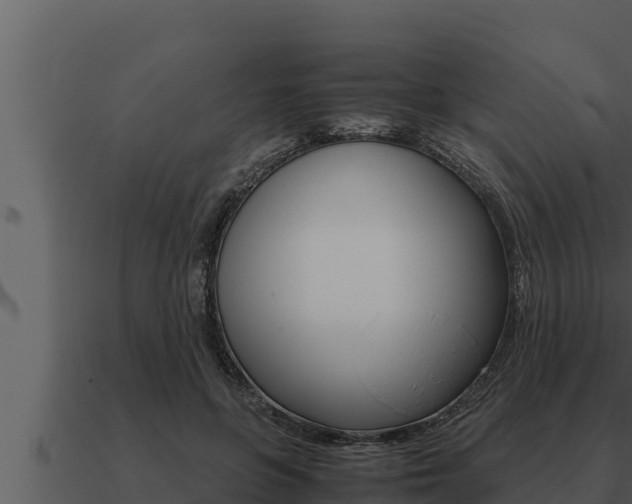 X0000091100551200708061025