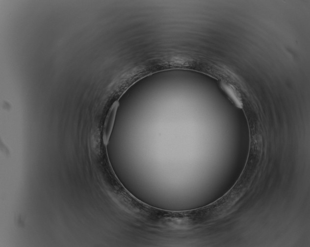 X0000091100552200708061025