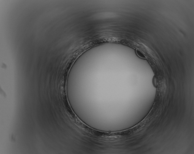 X0000091100553200708061025