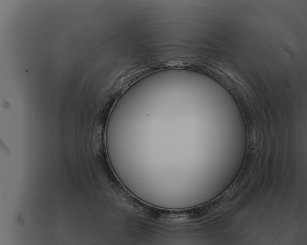 X0000091100554200708061025