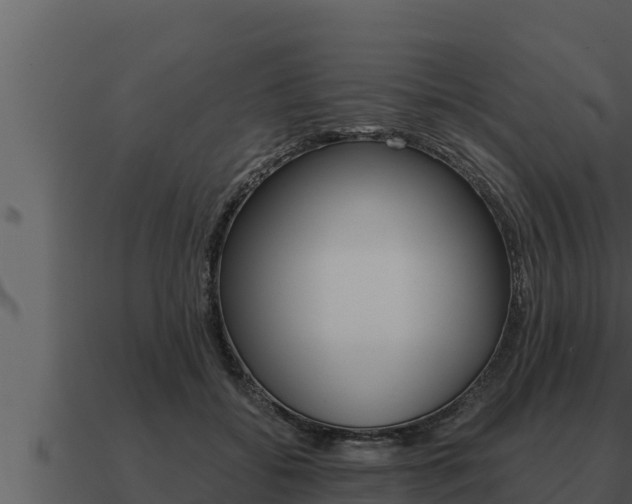 X0000091100556200708061025