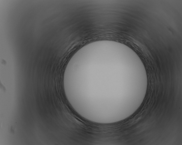 X0000091100558200708061025