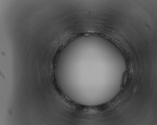 X0000091100559200708061025
