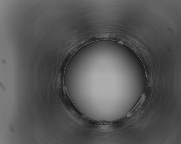 X0000091100560200708061025