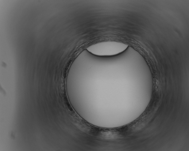 X0000091100561200708061025