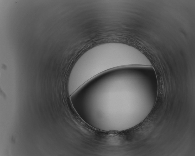 X0000091100562200708061025