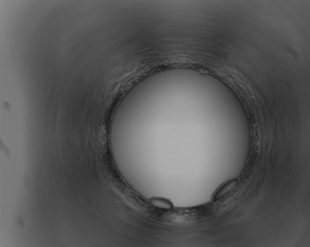 X0000091100563200708061025