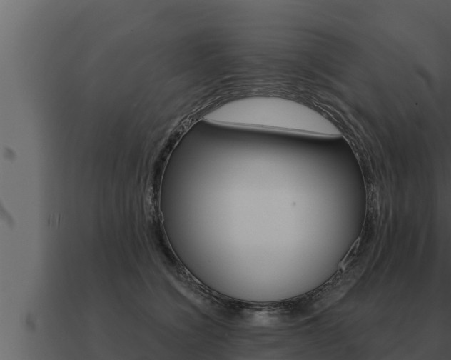 X0000091100564200708061025