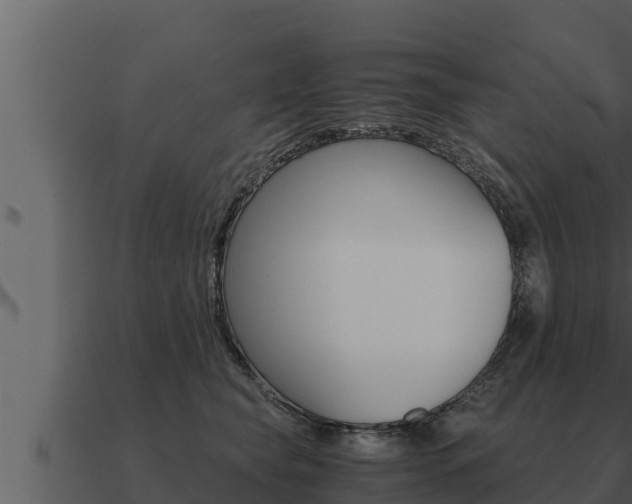 X0000091100565200708061025