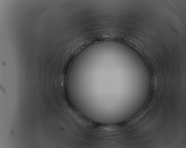 X0000091100567200708061025