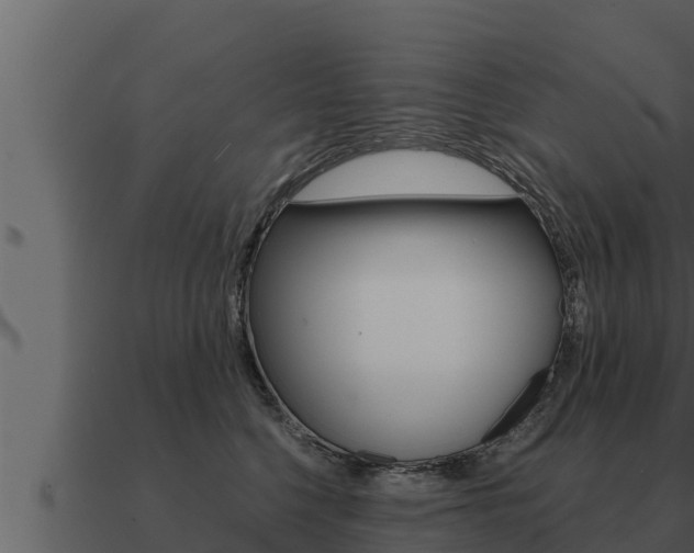 X0000091100568200708061025