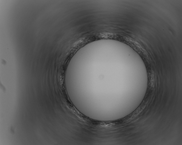 X0000091100569200708061025