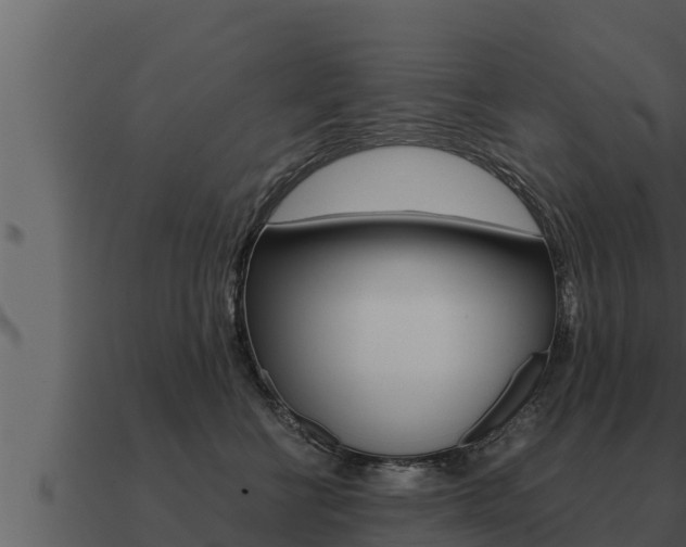 X0000091100570200708061025
