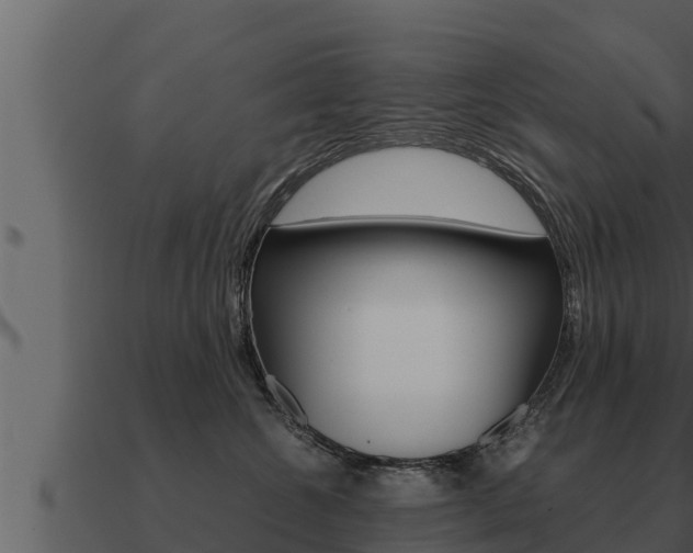 X0000091100572200708061025