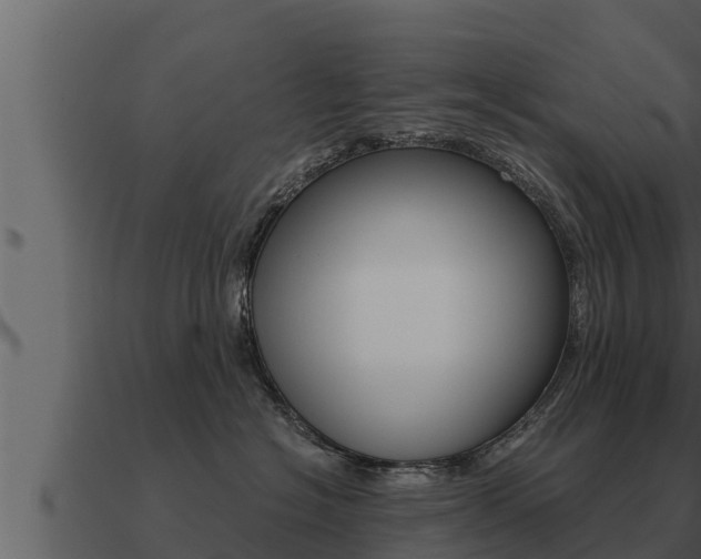 X0000091100574200708061025