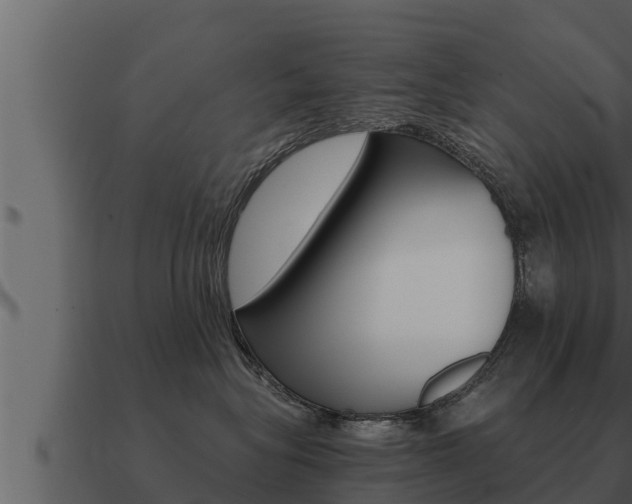 X0000091100575200708061025