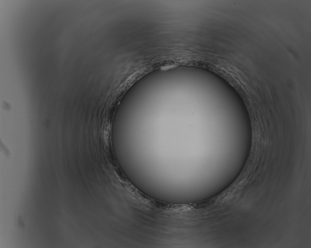 X0000091100576200708061025