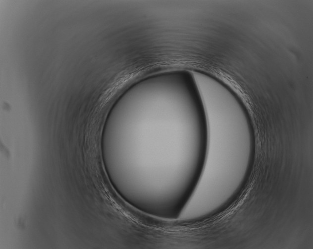 X0000091100577200708061024
