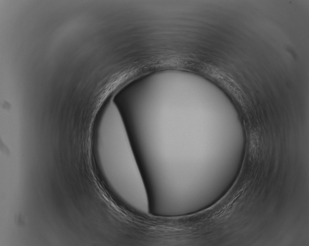 X0000091100578200708061024