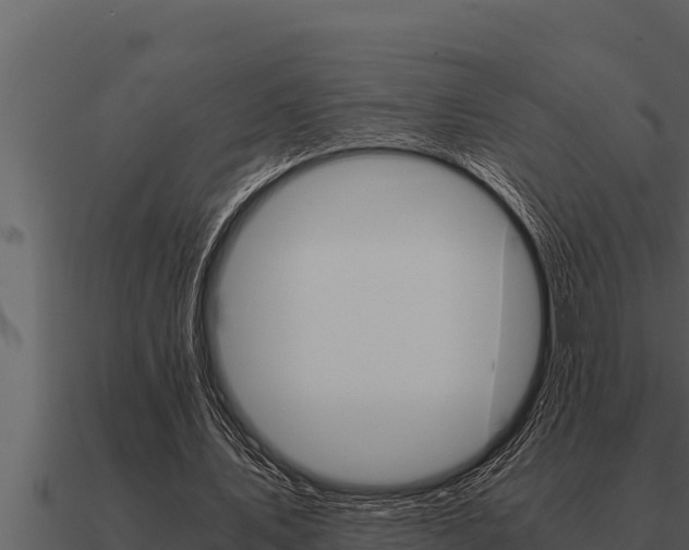 X0000091100579200708061024