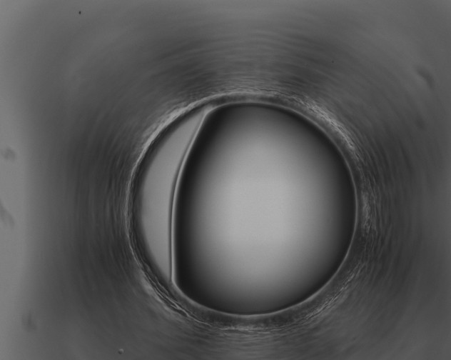 X0000091100580200708061024