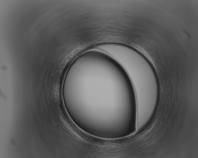 X0000091100581200708061024