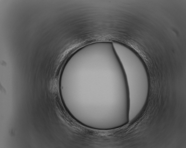X0000091100583200708061024