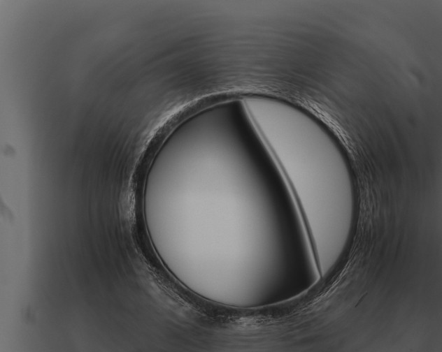 X0000091100584200708061024