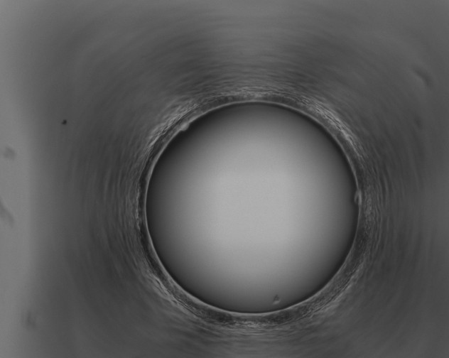 X0000091100585200708061024