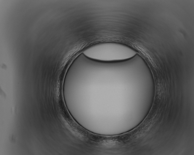 X0000091100586200708061024