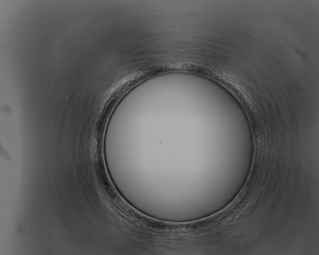 X0000091100587200708061024