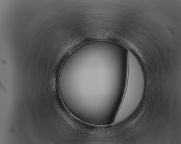 X0000091100589200708061024