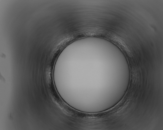 X0000091100590200708061024
