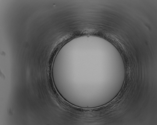 X0000091100591200708061024