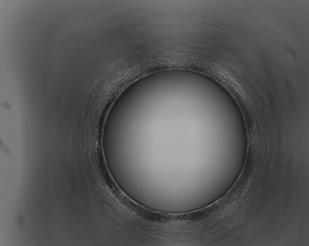 X0000091100593200708061024