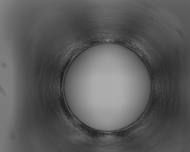 X0000091100594200708061024