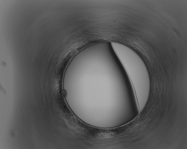 X0000091100595200708061024