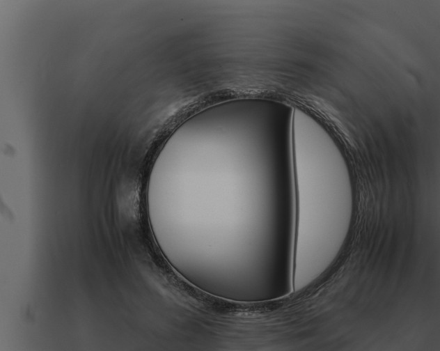 X0000091100596200708061024