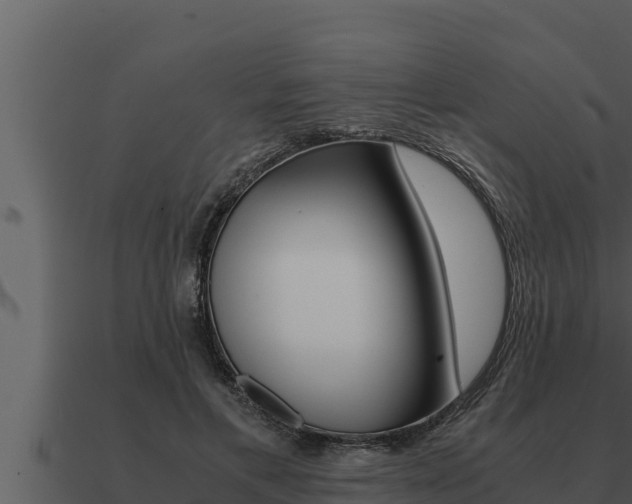 X0000091100597200708061024
