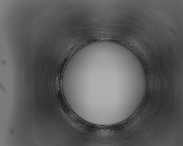 X0000091100598200708061024
