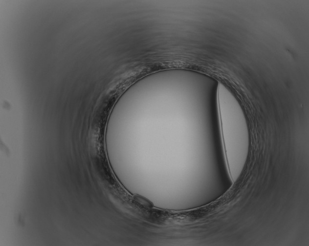X0000091100599200708061024