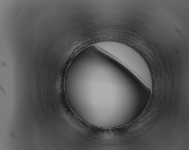 X0000091100600200708061024