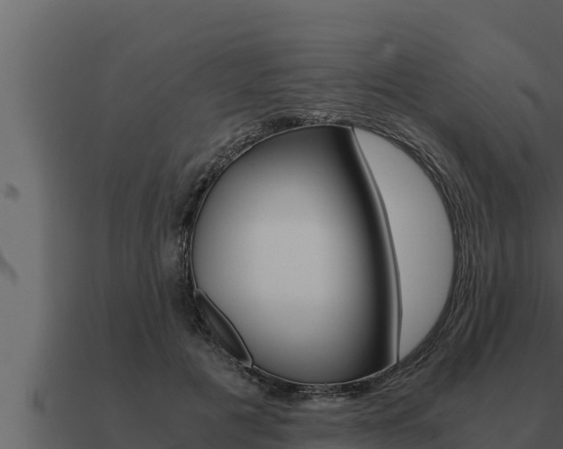 X0000091100601200708061024