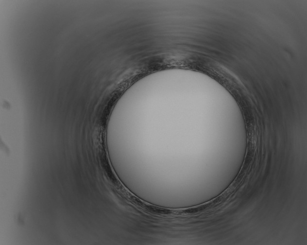 X0000091100603200708061024