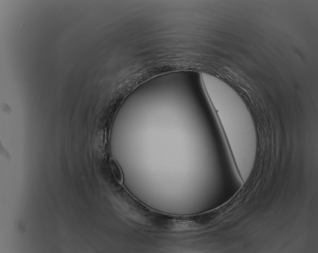 X0000091100605200708061024