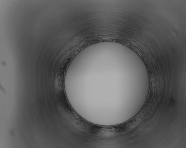 X0000091100606200708061024