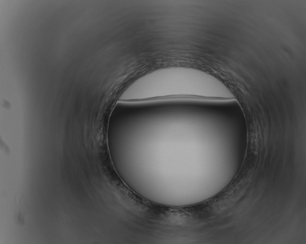 X0000091100608200708061024