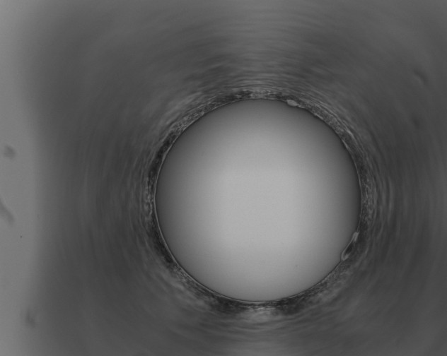 X0000091100609200708061024