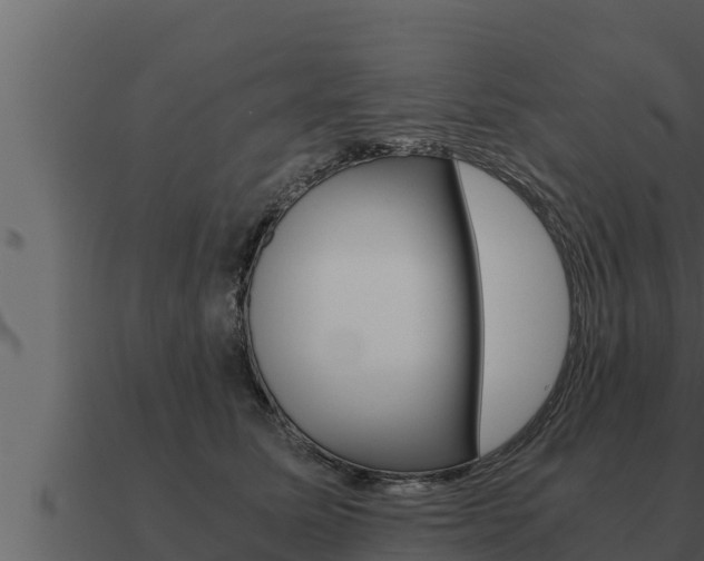 X0000091100611200708061024