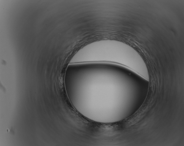 X0000091100613200708061024